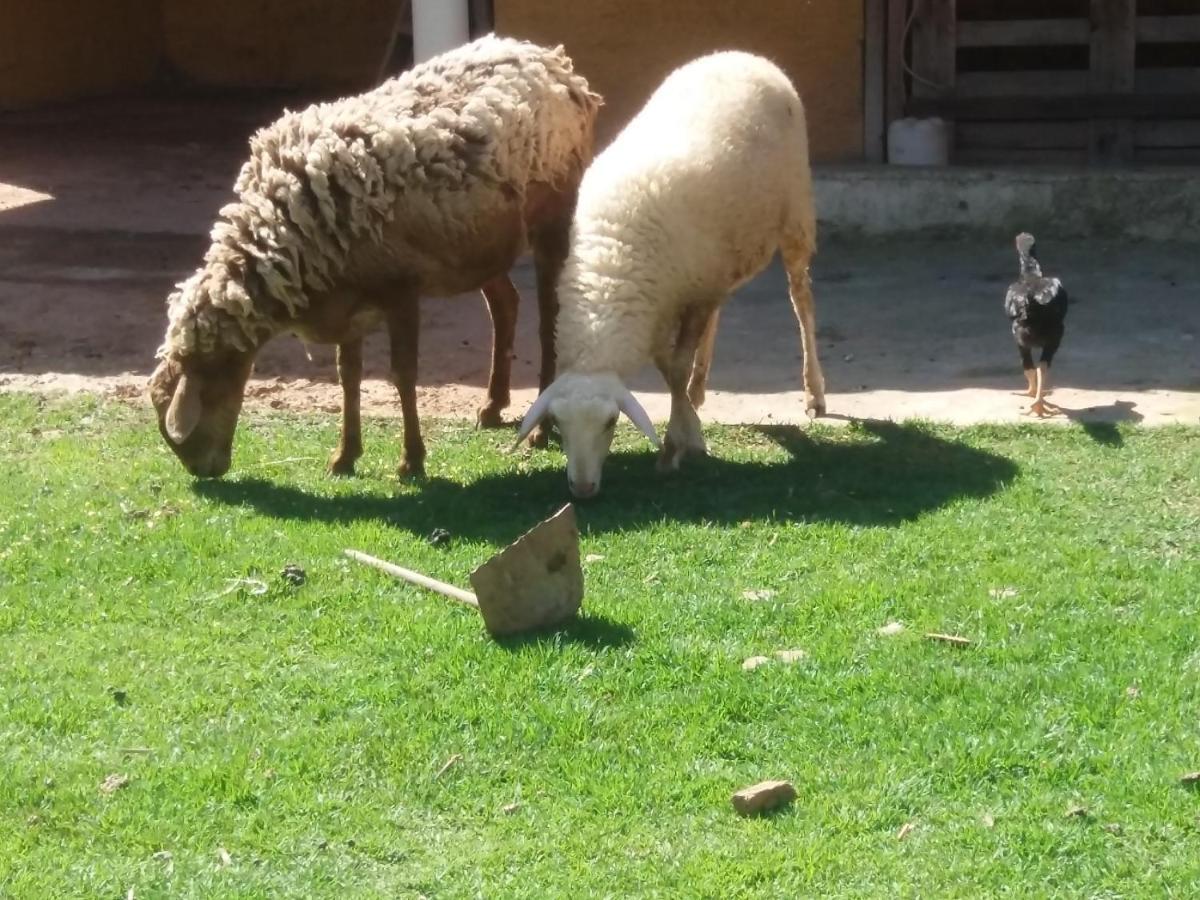 Molise Hotel Fazenda سيرا نيجرا المظهر الخارجي الصورة