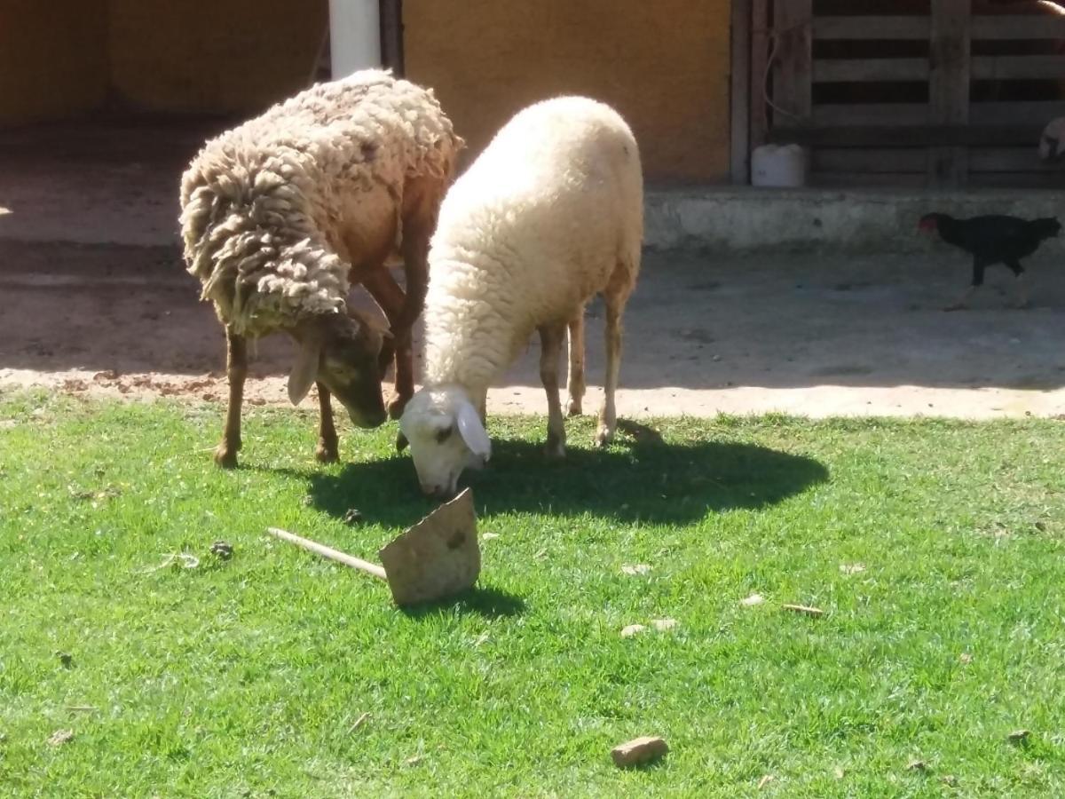 Molise Hotel Fazenda سيرا نيجرا المظهر الخارجي الصورة